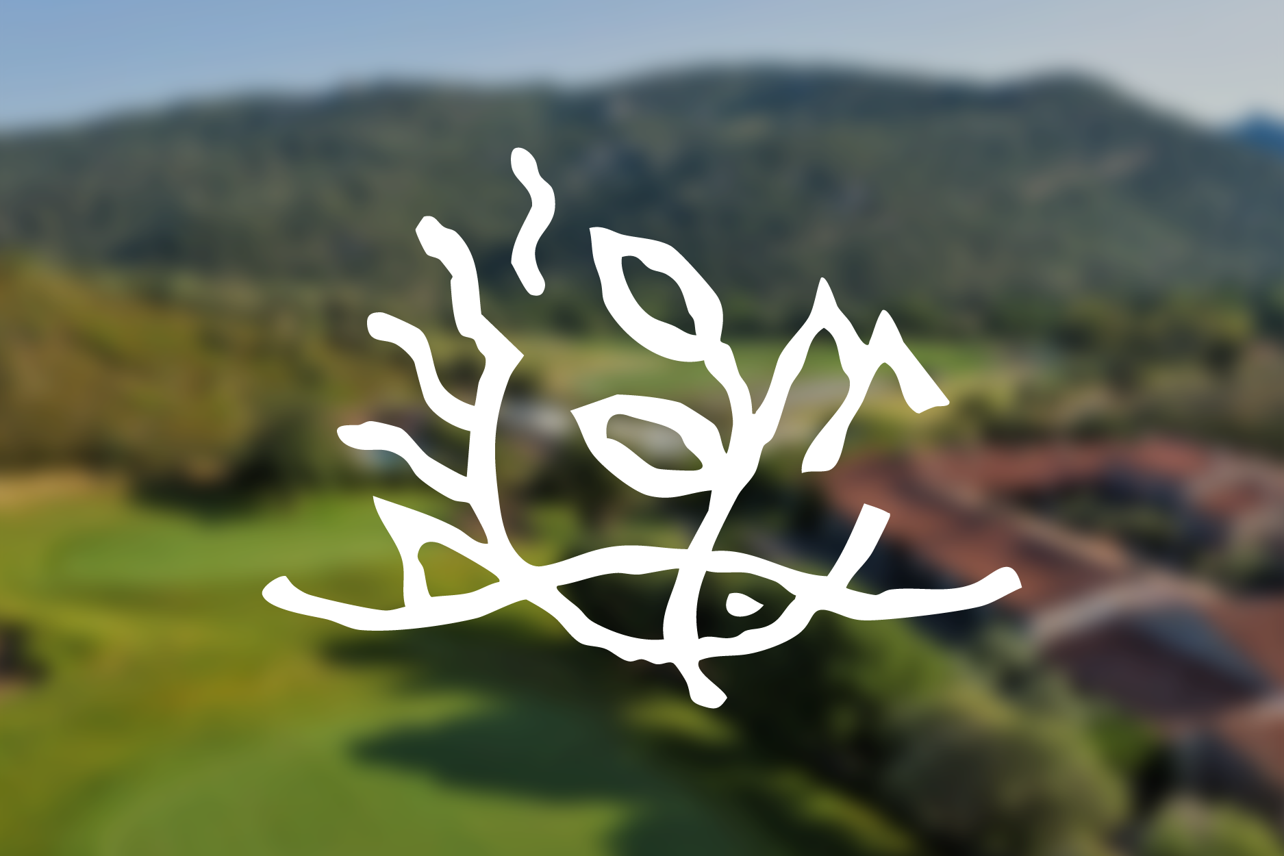 banniere_clubs_golf